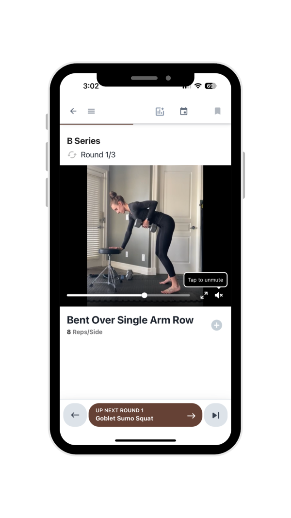 video demonstrations for a home workout program
