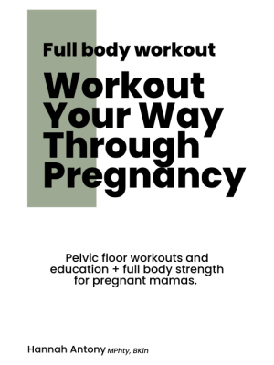 workout program for pregnancy and pelvic floor exercises