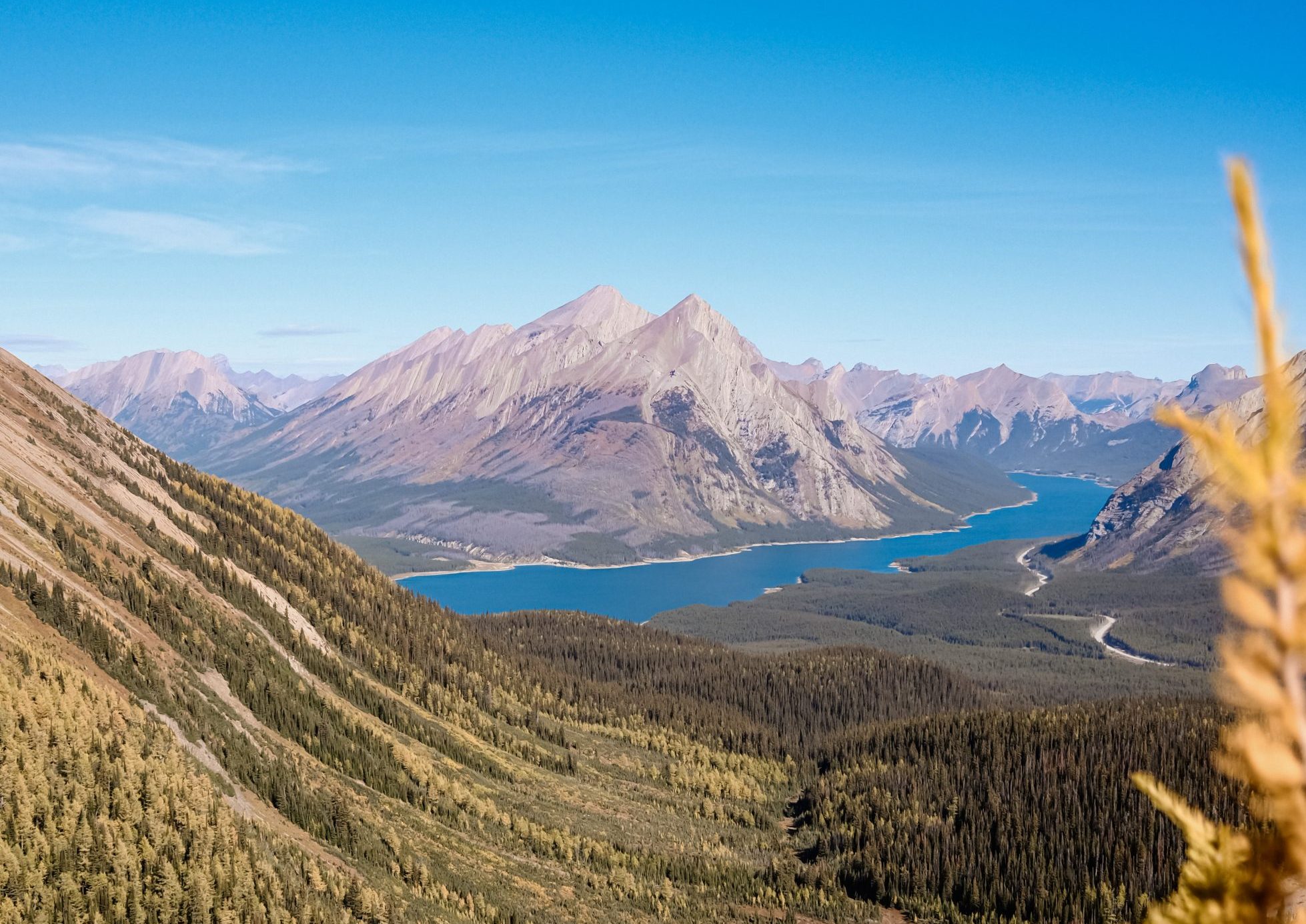 larch season on tent ridge kananaskis