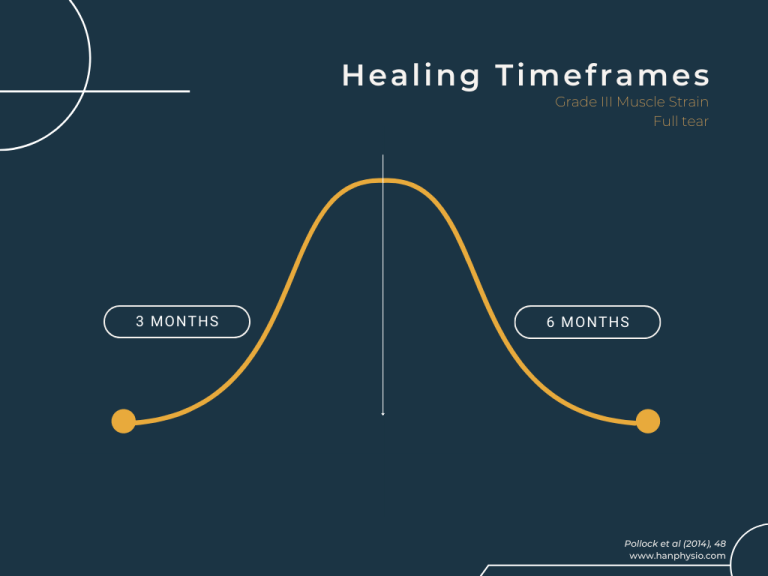 hamstring tear recovery timeline