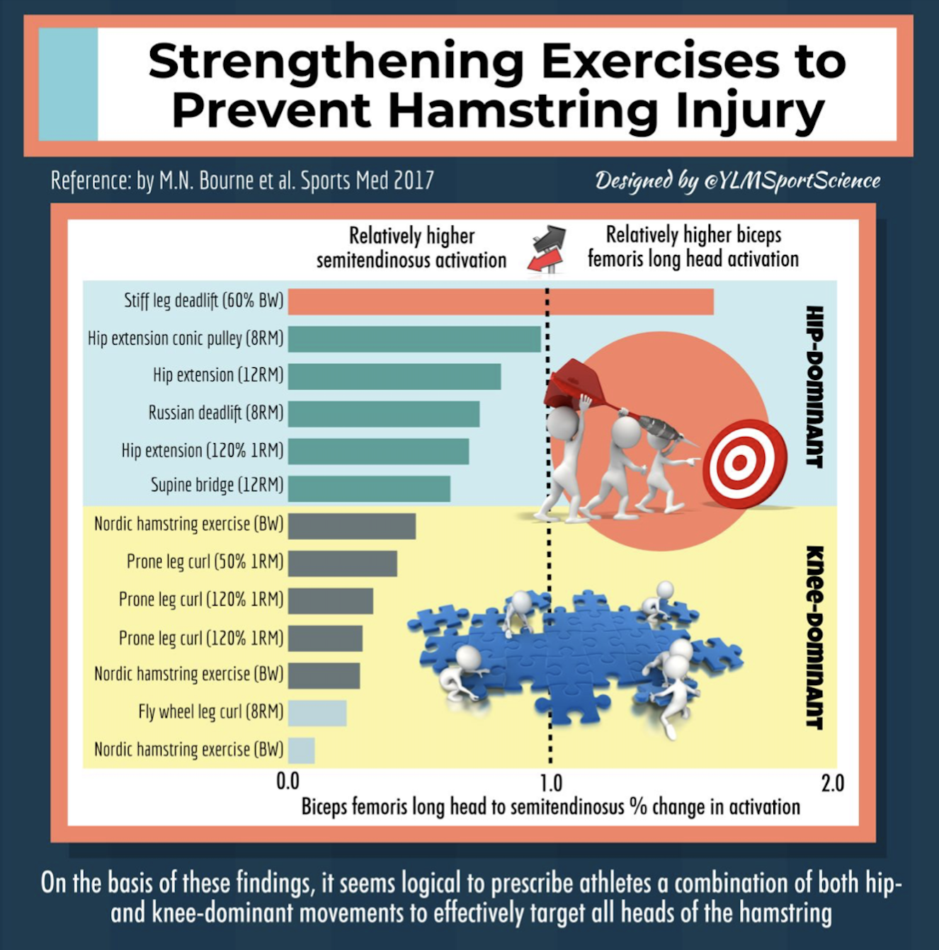 graphic showing different hamstring muscle activation comparison between different exercises 